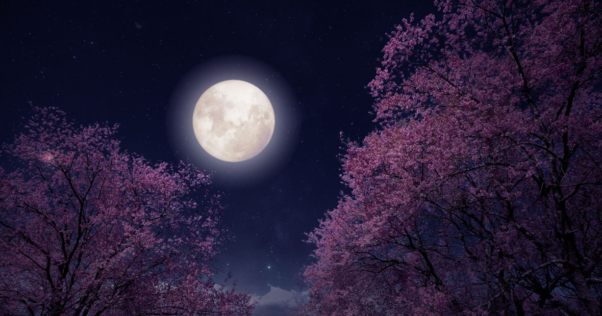 nuits de pleine lune